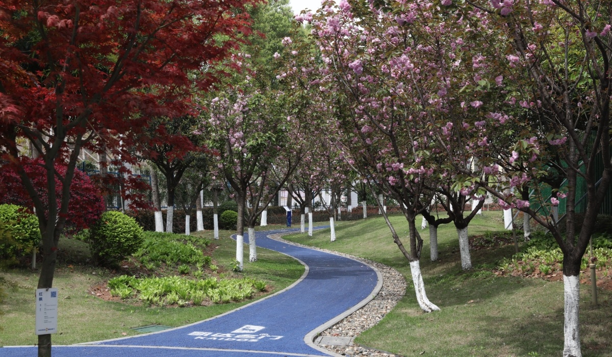 花园厂区